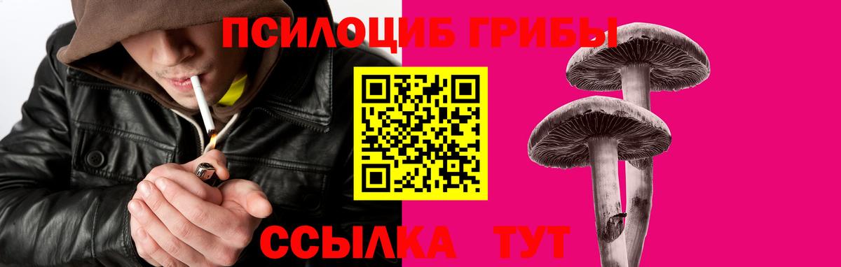 Псилоцибиновые грибы Psilocybe  Вход с VPN  Балашиха  Псилоцибиновые грибы Magic Shrooms 